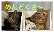 879457049