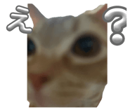 879457050