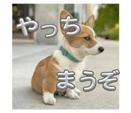 879457056