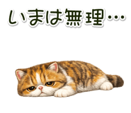 879468721