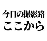 879472434