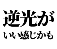 879472441