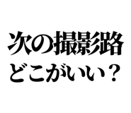 879472445
