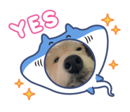 879480857