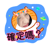 879497509