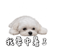 879501104