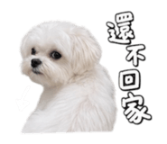 879501110