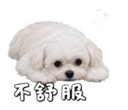 879501112
