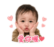 879504561