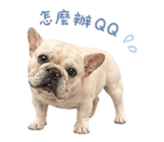 879504655