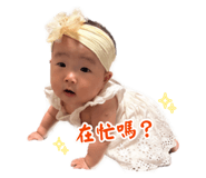 879504911