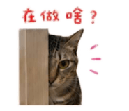 879504999