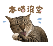 879505006