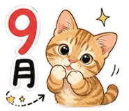 879508313