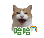 879524185