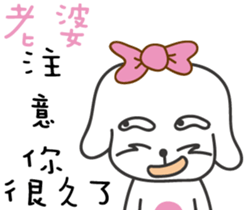 87953554
