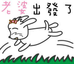 87953575
