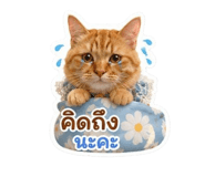 879571604