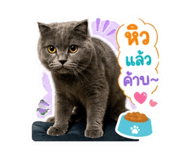 879573513