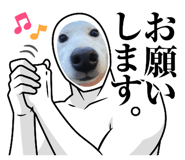 879575007