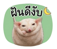 879577138