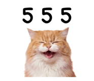 879581234