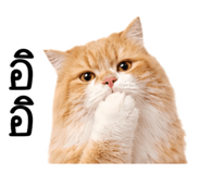 879581254
