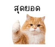 879581258