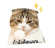 879582587