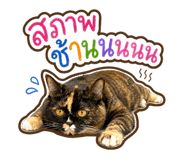 879589861