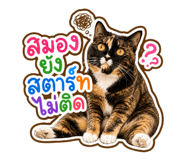 879589877