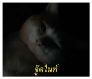 879594045