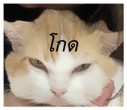 879594046