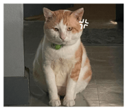 879594047