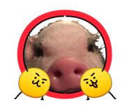 879595343