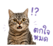 879597852