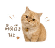 879597855