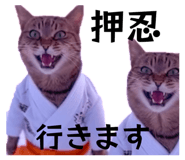 879688141