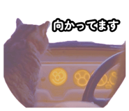 879688153