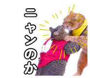 879688164