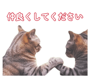 879688168