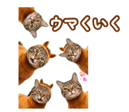 879688170