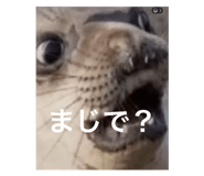 879707090