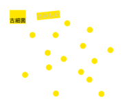 879722336