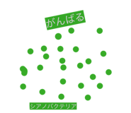 879722344