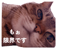 879725916