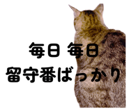 879728888