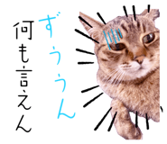 879728892