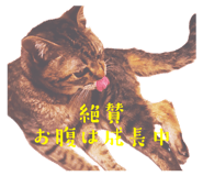 879728895