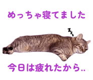 879728897